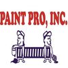 Paint Pro