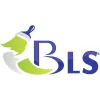 BLS Painting