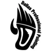 Dallas Professional Painting