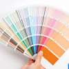 Fine Brush Painting