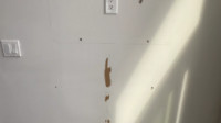 Drywall Repair & Painting